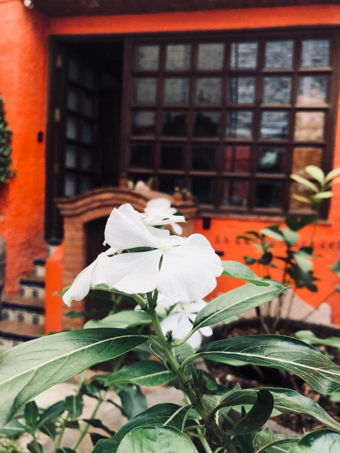 Casa Azul Hotell Guanajuato Eksteriør bilde